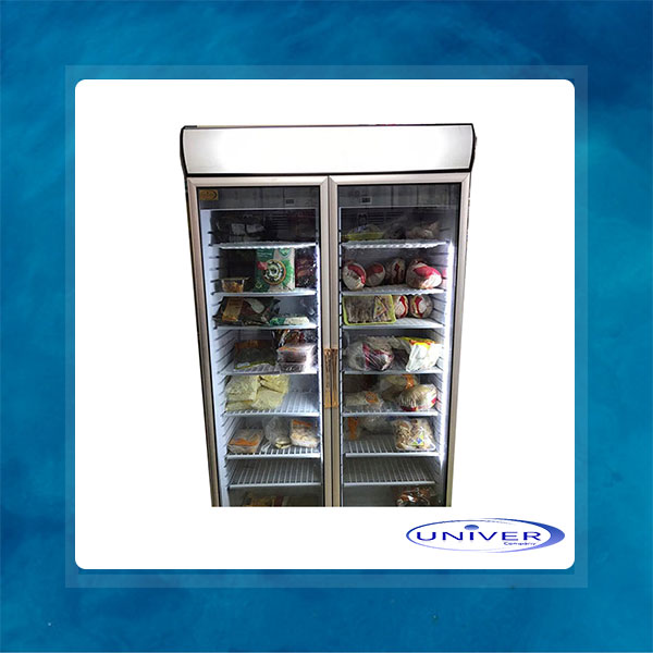 فریزر ایستاده دو درب 120 سانتی پروتئین